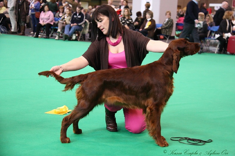 Crufts2011 162.jpg